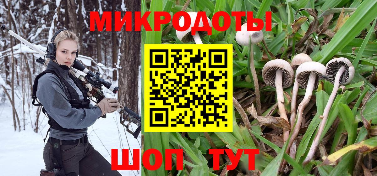 Галлюциногенные грибы Magic Shrooms Волжский